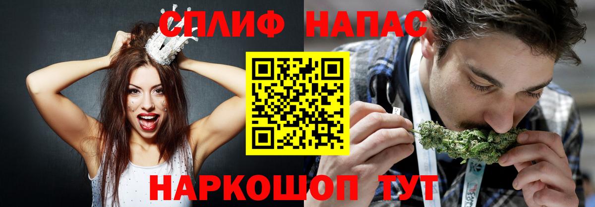 Шишки марихуана планчик Приморско-Ахтарск